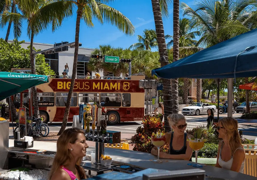 Big Bus Hop On Hop Off Miami Bus Tour 24Hr