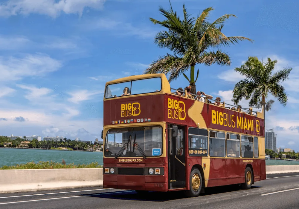 Big Bus Hop On Hop Off Miami Bus Tour 24Hr