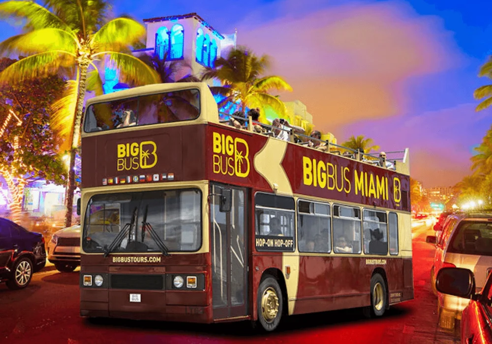 Big Bus Miami Night Tour Blue Line 