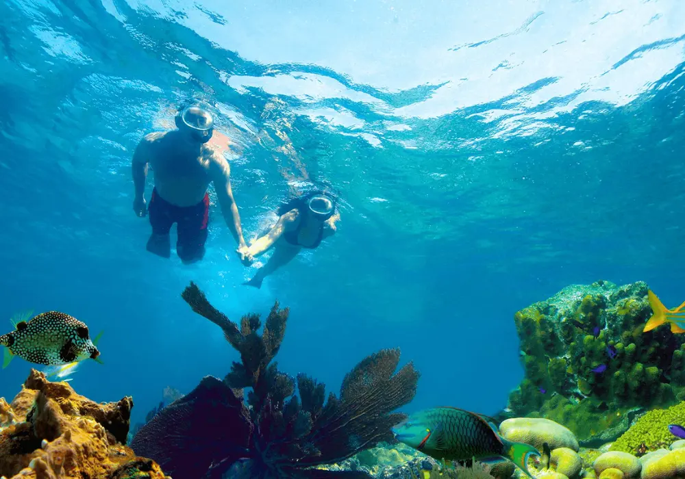 Key West Snorkeling Tour With Catamaran