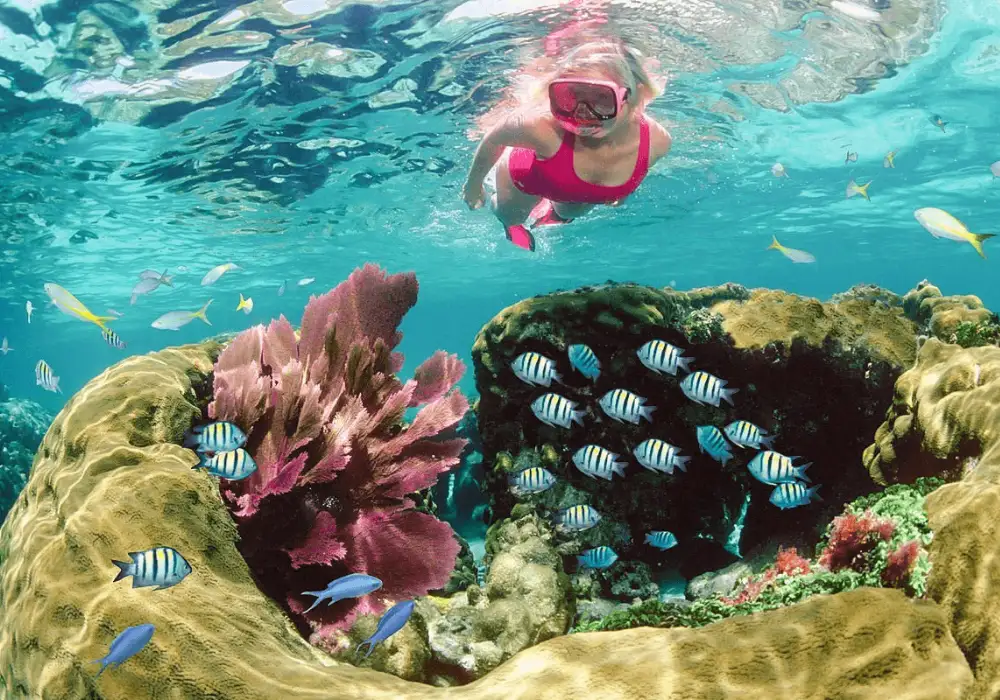 Key West Snorkeling Tour With Catamaran
