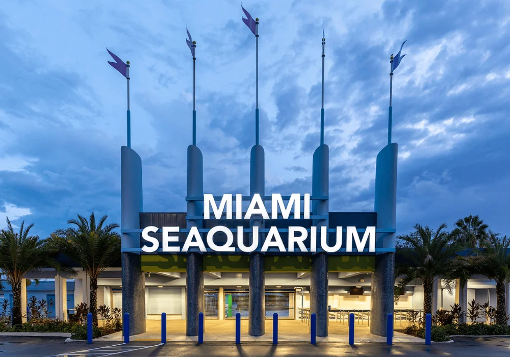 Miami Seaquarium Experience