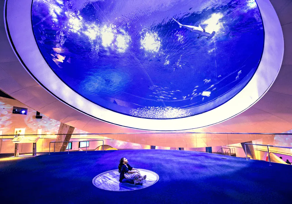 Phillip Patricia Frost Museum Of Science