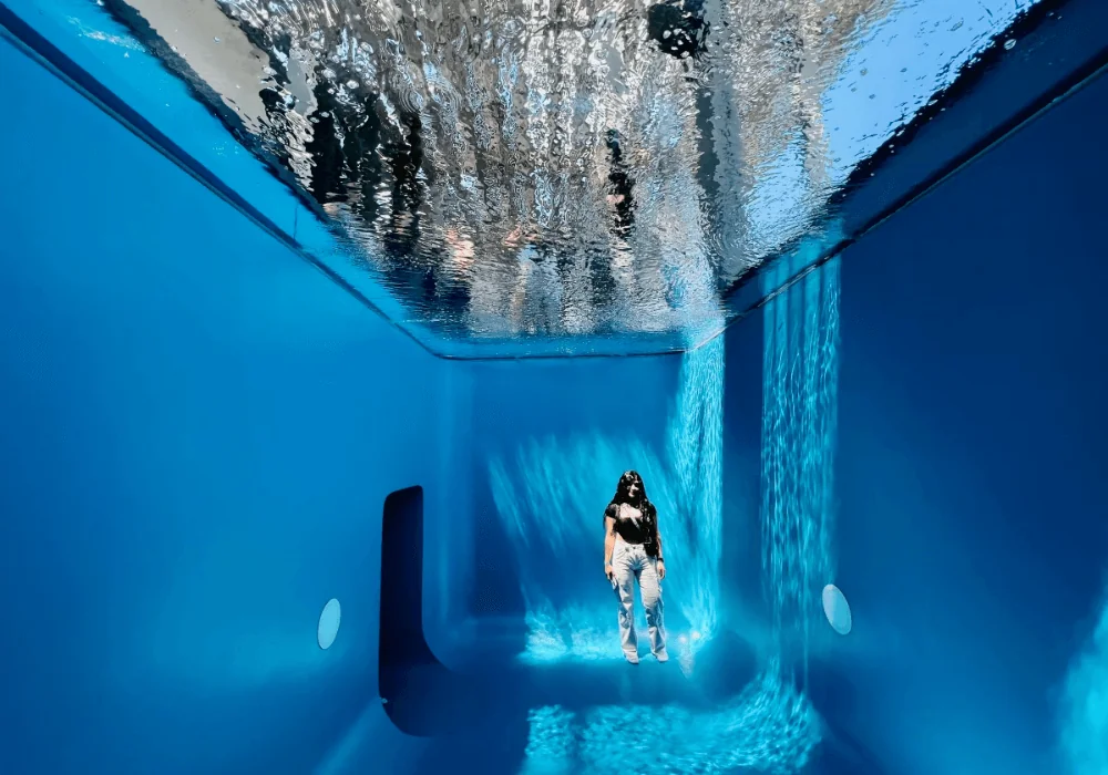 Pérez Art Museum Miami Pamm 