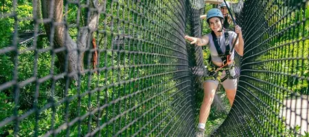 Treetop Trekking Miami: A Thrilling Outdoor Adventure Awaits!