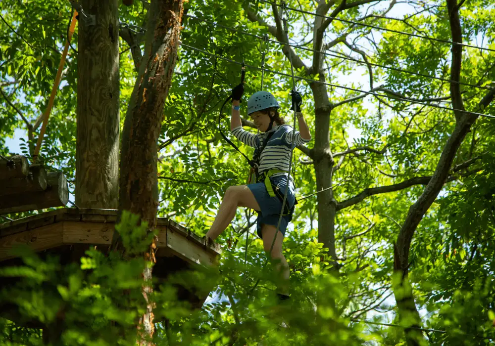 Treetop Trekking Miami A Thrilling Outdoor Adventure Awaits!