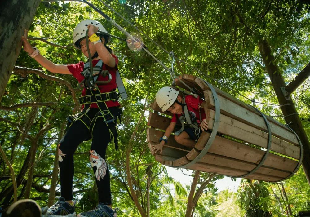 Treetop Trekking Miami A Thrilling Outdoor Adventure Awaits!