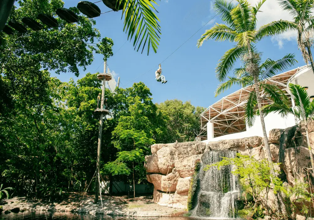Treetop Trekking Miami A Thrilling Outdoor Adventure Awaits!
