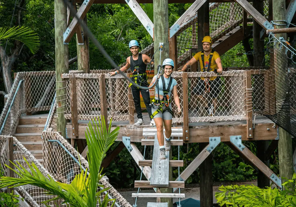 Treetop Trekking Miami A Thrilling Outdoor Adventure Awaits!