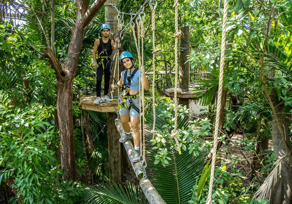 Treetop Trekking Miami A Thrilling Outdoor Adventure Awaits!