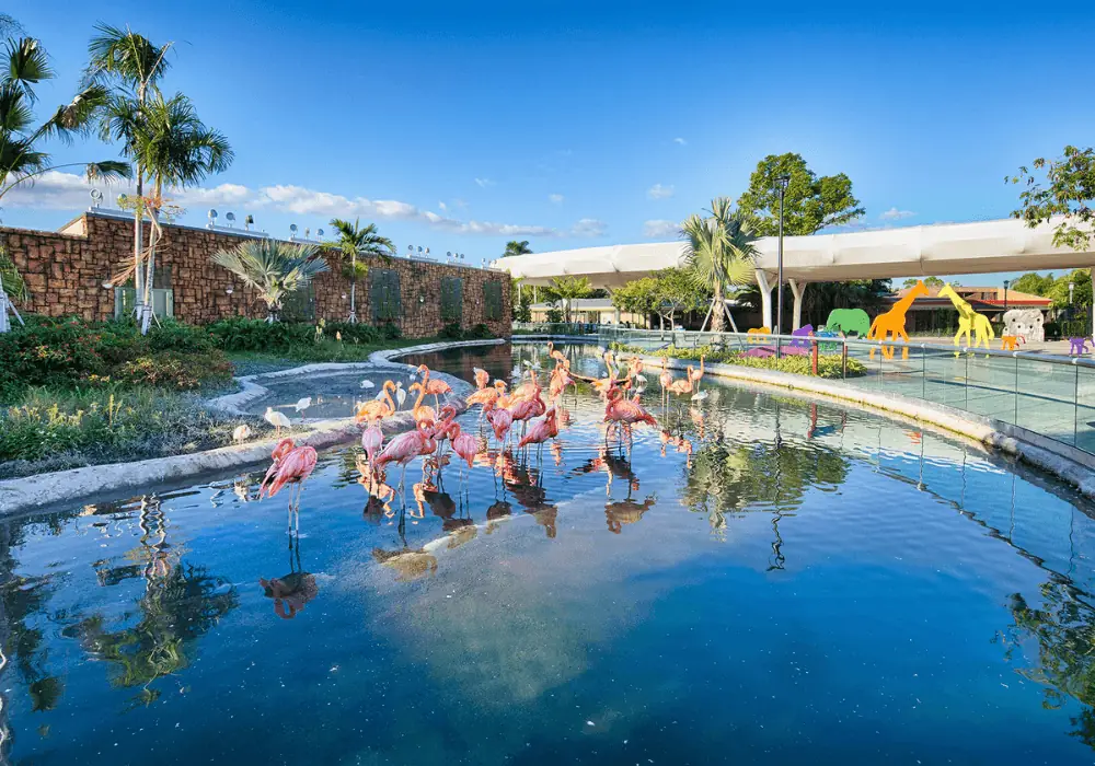 Zoo Miami