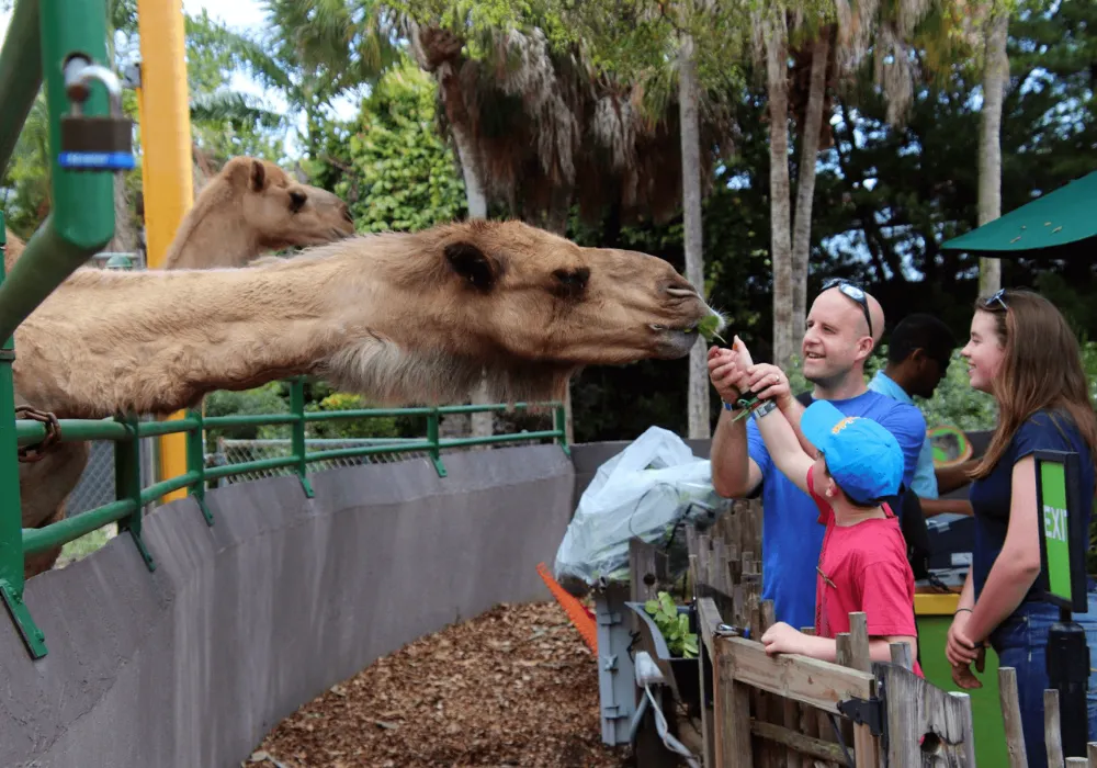 Zoo Miami